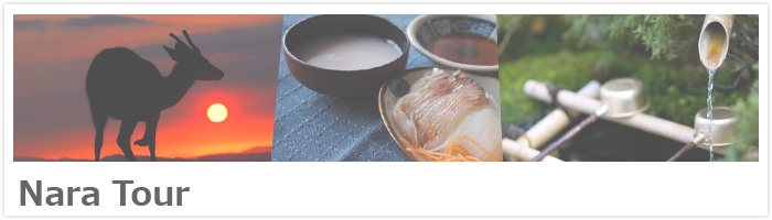 Nara Tour
