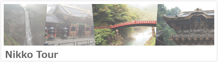 Nikko Tour