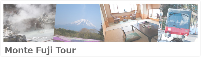 Monte Fuji Tour
